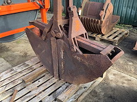 Schalengrijper - afbeelding 3 van  5