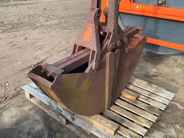 Schalengrijper - afbeelding 4 van  5