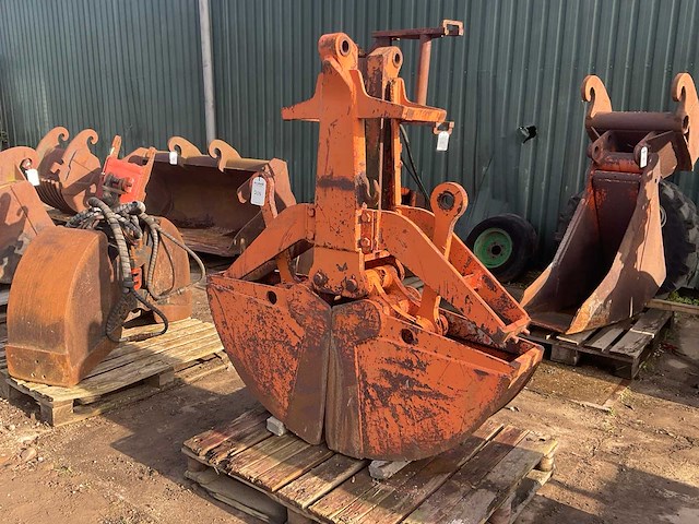 Schalengrijper - afbeelding 1 van  5