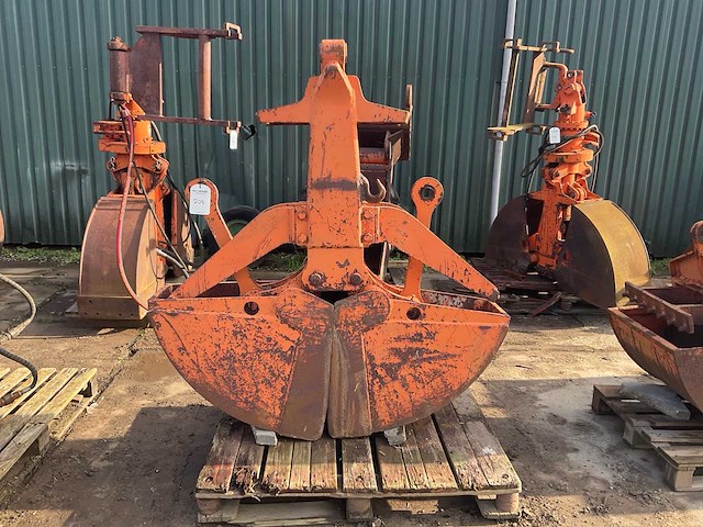 Schalengrijper - afbeelding 3 van  5