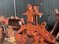 Schalengrijper - afbeelding 4 van  5