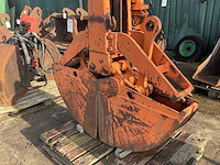 Schalengrijper - afbeelding 5 van  5