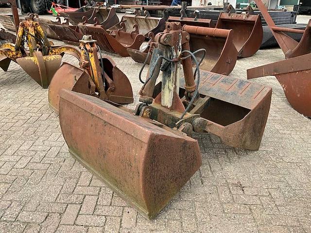 Schalengrijper - afbeelding 4 van  5