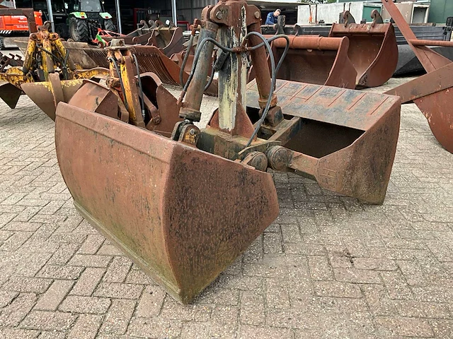 Schalengrijper - afbeelding 5 van  5