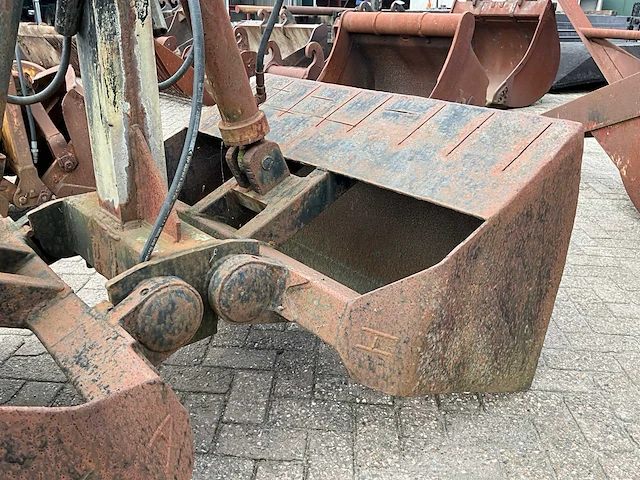 Schalengrijper - afbeelding 2 van  5
