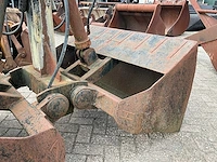 Schalengrijper - afbeelding 2 van  5