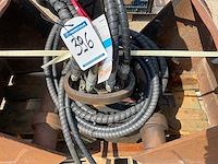 Schalengrijper - afbeelding 4 van  8