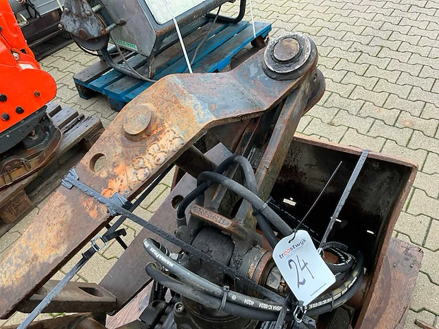 Schalengrijper - afbeelding 6 van  10