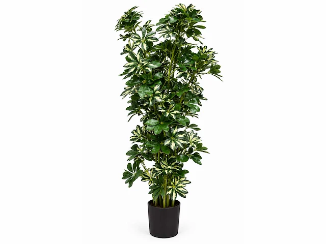 Schefflera tree kunstplant (140cm hoog) (2x) - afbeelding 1 van  4