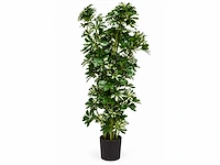 Schefflera tree kunstplant (140cm hoog) (2x)