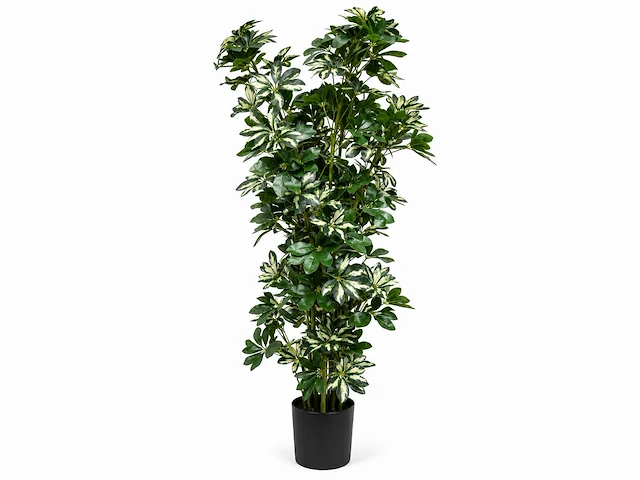 Schefflera tree kunstplant (140cm hoog) (2x) - afbeelding 4 van  4