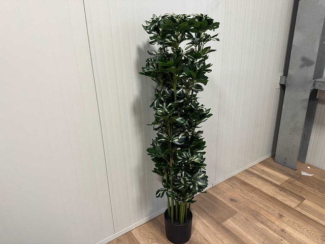 Schefflera tree kunstplant (140cm hoog) - afbeelding 12 van  13
