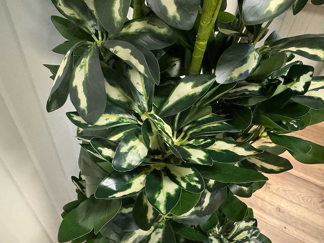 Schefflera tree kunstplant (140cm hoog) - afbeelding 8 van  13