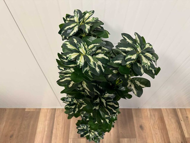 Schefflera tree kunstplant (140cm hoog) - afbeelding 9 van  13