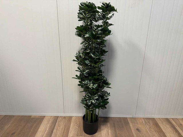 Schefflera tree kunstplant (140cm hoog) - afbeelding 1 van  13