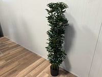 Schefflera tree kunstplant (140cm hoog) - afbeelding 7 van  13
