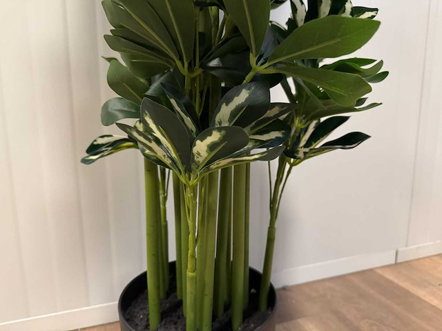 Schefflera tree kunstplant (140cm hoog) - afbeelding 11 van  13