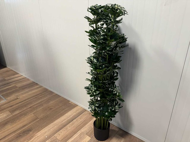 Schefflera tree kunstplant (140cm hoog) - afbeelding 4 van  13