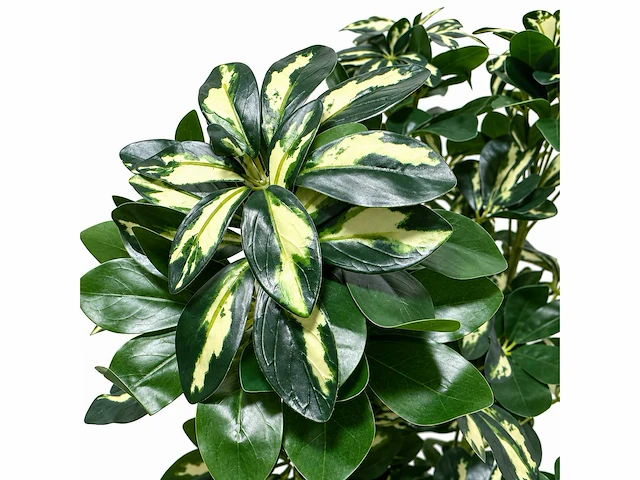Schefflera tree kunstplant (140cm hoog) - afbeelding 2 van  4