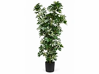 Schefflera tree kunstplant (140cm hoog) - afbeelding 4 van  4