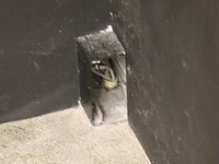 Scheidingswand t.b.v. kantoor - 120x210x123cm - afbeelding 4 van  5