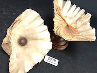Schelp op messing stand en schelp zonder stand - afbeelding 2 van  5