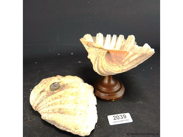 Schelp op messing stand en schelp zonder stand - afbeelding 4 van  5