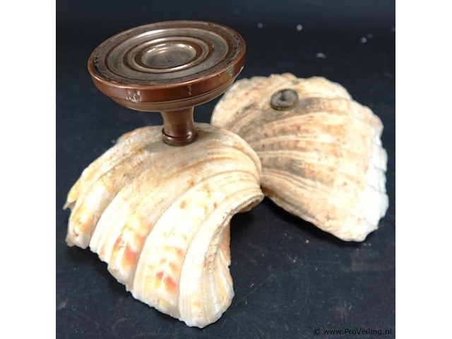 Schelp op messing stand en schelp zonder stand - afbeelding 5 van  5