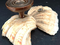 Schelp op messing stand en schelp zonder stand - afbeelding 5 van  5