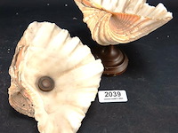 Schelp op messing stand en schelp zonder stand