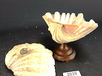 Schelp op messing stand en schelp zonder stand - afbeelding 4 van  5