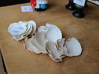 Schelpen. ca. 15 stuks. - afbeelding 2 van  2