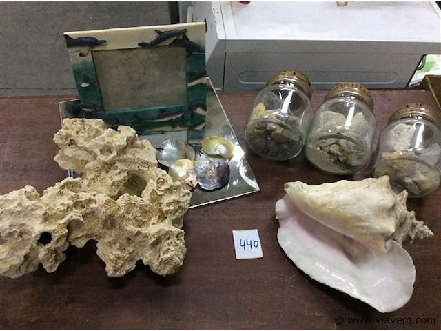 Schelpen en stenen - afbeelding 1 van  3