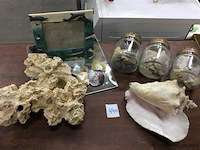 Schelpen en stenen - afbeelding 1 van  3