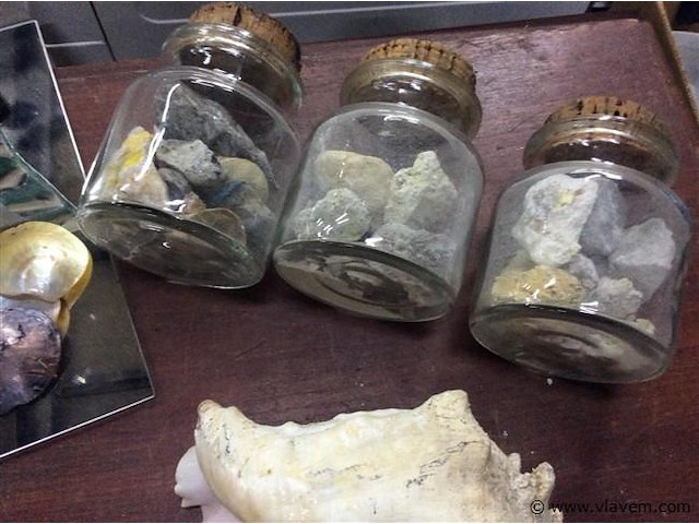 Schelpen en stenen - afbeelding 2 van  3