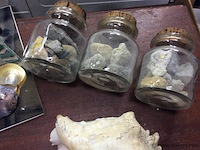 Schelpen en stenen - afbeelding 2 van  3