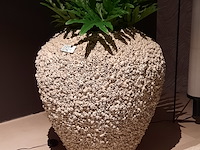 Schelpen pot met 2x kunstplant raw interiors/colours&green, philodendron selloum - afbeelding 1 van  6