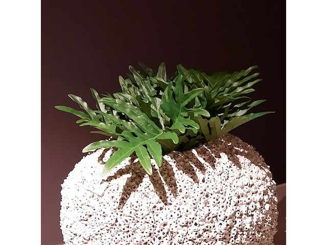 Schelpen pot met 2x kunstplant raw interiors/colours&green, philodendron selloum - afbeelding 2 van  6