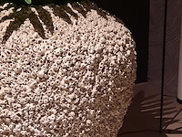 Schelpen pot met 2x kunstplant raw interiors/colours&green, philodendron selloum - afbeelding 4 van  6