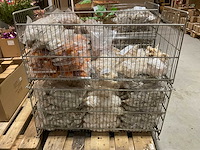 Schelpen - afbeelding 3 van  11