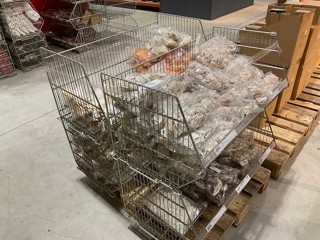 Schelpen - afbeelding 1 van  11