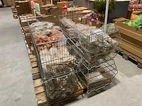 Schelpen - afbeelding 4 van  11