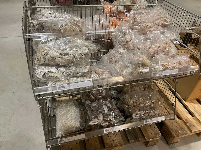 Schelpen - afbeelding 6 van  11