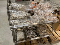 Schelpen - afbeelding 6 van  11