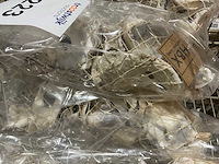 Schelpen - afbeelding 7 van  11