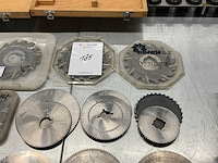 Schijffrees (15x) - afbeelding 5 van  5