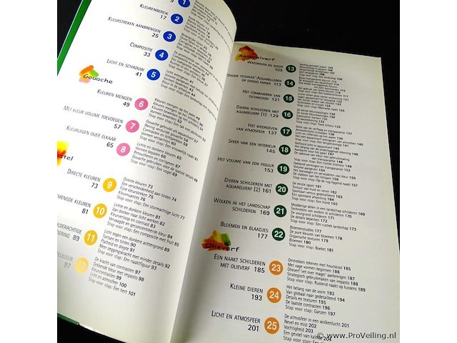 Schilderen een praktische gids - afbeelding 3 van  5