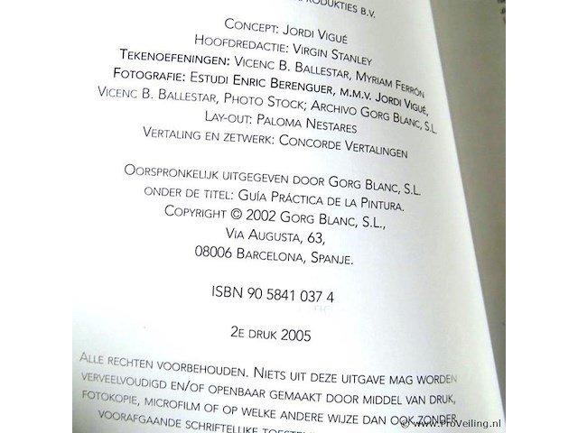 Schilderen een praktische gids - afbeelding 2 van  5