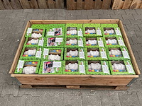 Schilderen en verven (45x) - afbeelding 1 van  3