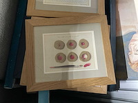 Schilderij (30x) - afbeelding 5 van  10